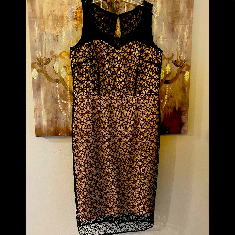 NWOT Ann Taylor Cocktail Dress Peach Bodice Under Black Lace Sheath